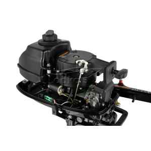 Лодочный мотор Parsun TE5.8 BMS